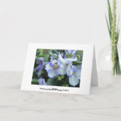 Afrikaanse Violet Card Kaart (Achterkant)