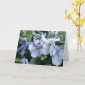 Afrikaanse Violet Card Kaart (Gele Bloem)