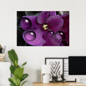 Afrikaanse Violet Fantasy Poster (Thuiskantoor)