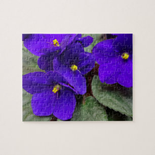 Afrikaanse Violet Flower Puzzle Legpuzzel