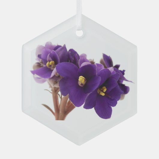 Afrikaanse violet glas ornament (Voorkant)