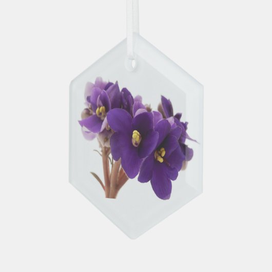 Afrikaanse violet glas ornament (Voorkant links)