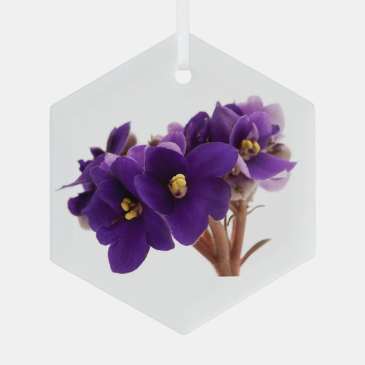 Afrikaanse violet glas ornament (Achterkant)