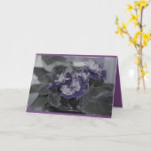 Afrikaanse Violet Kaart (Gele Bloem)