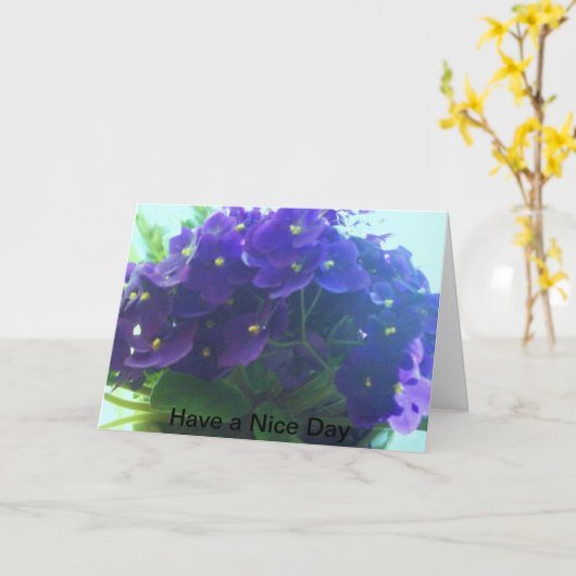 Afrikaanse Violet Kaart (Gele Bloem)