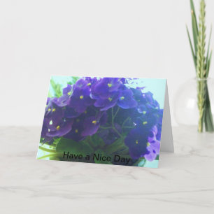 Afrikaanse Violet Kaart