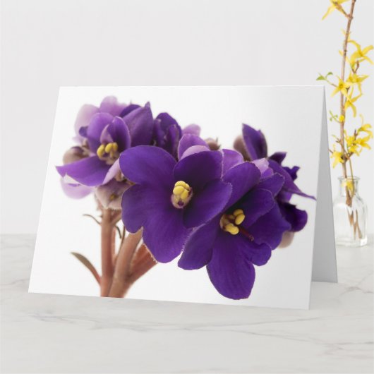 Afrikaanse violet kaart (Gele Bloem)