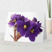 Afrikaanse violet kaart (Voorkant)