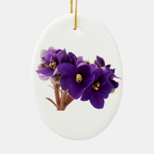 Afrikaanse violet keramisch ornament (Achterkant)