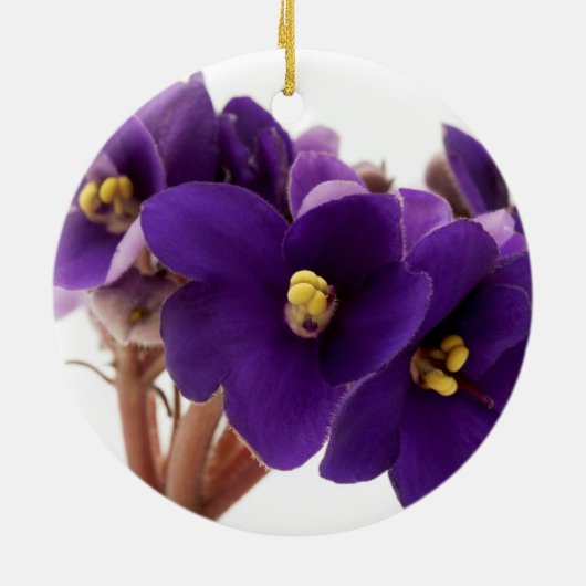 Afrikaanse violet keramisch ornament (Achterkant)