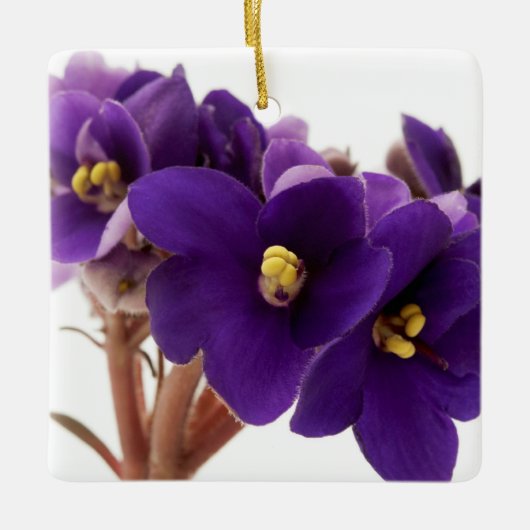 Afrikaanse violet keramisch ornament (Voorkant)