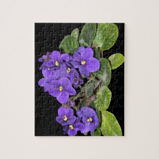 Afrikaanse violet legpuzzel (Verticaal)