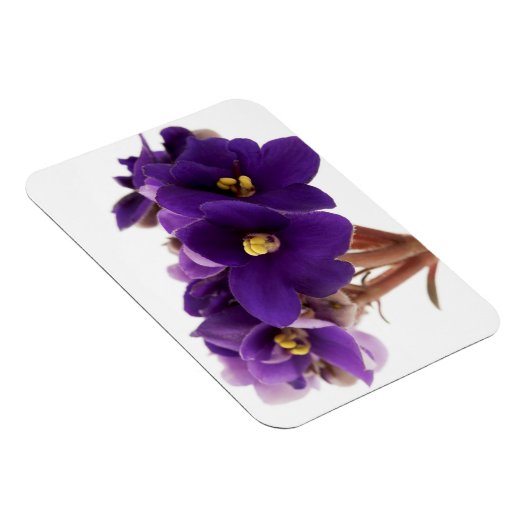 Afrikaanse violet magneet (Rechterzijde)