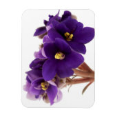 Afrikaanse violet magneet (Verticaal)