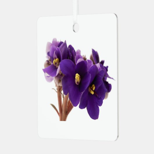 Afrikaanse violet metalen ornament (Voorkant links)