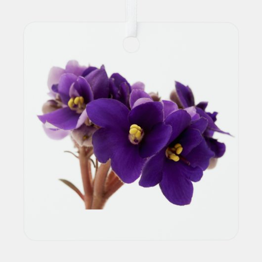 Afrikaanse violet metalen ornament (Achterkant)