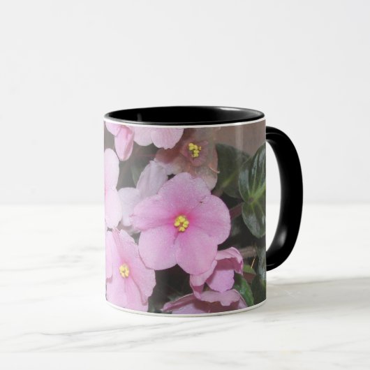 Afrikaanse Violet Mok (Voorkant rechts)