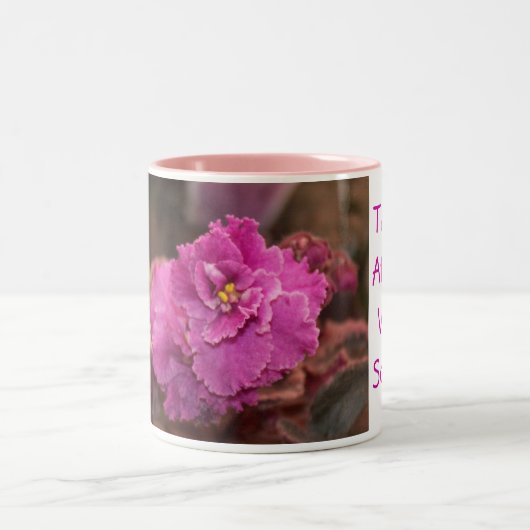 Afrikaanse Violet Mok (Center)