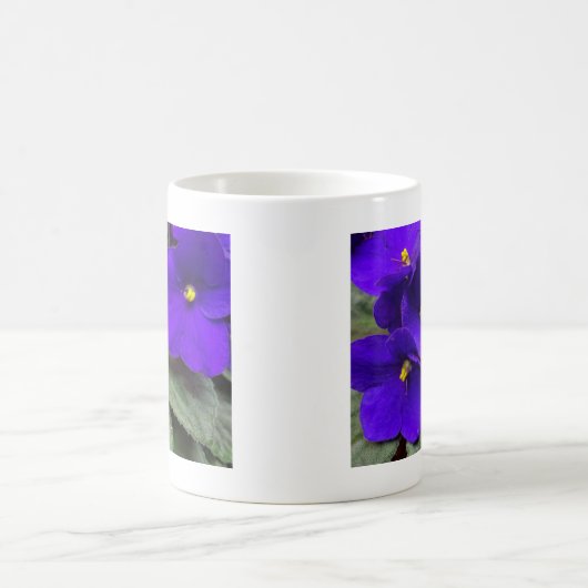 Afrikaanse Violet Mok (Center)