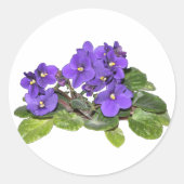 Afrikaanse violet ronde sticker (Voorkant)