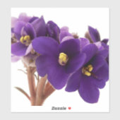 Afrikaanse violet sticker (Vel)