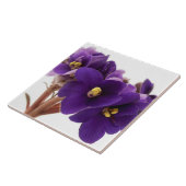 Afrikaanse violet tegeltje (Zijkant)