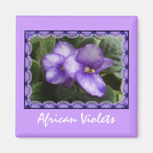 Afrikaanse Violets Magnet
