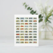 Afrikaanse vis briefkaart (Staand voorkant)