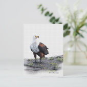 Afrikaanse visadelaar op witte achtergrond briefkaart (Staand voorkant)