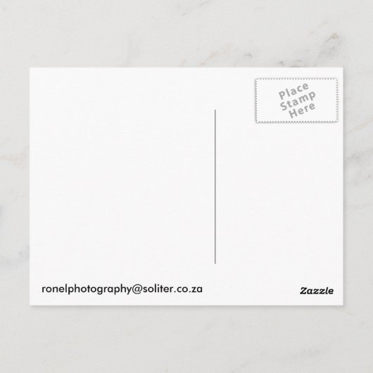 Afrikaanse visadelaar op witte achtergrond briefkaart (Achterkant)