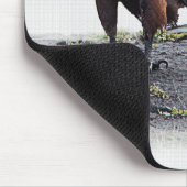 Afrikaanse visadelaar op witte achtergrond muismat (Hoek)