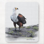 Afrikaanse visadelaar op witte achtergrond muismat (Voorkant)