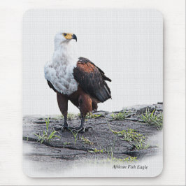 Afrikaanse visadelaar op witte achtergrond muismat