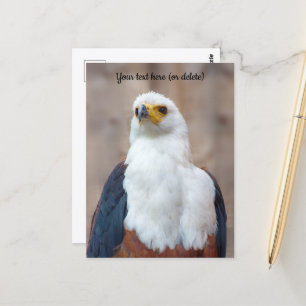 Afrikaanse Visarend Ansichtkaart Briefkaart