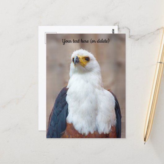 Afrikaanse Visarend Ansichtkaart Briefkaart (Voorkant / Achterkant in situ)