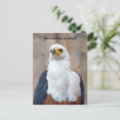 Afrikaanse Visarend Ansichtkaart Briefkaart (Staand voorkant)