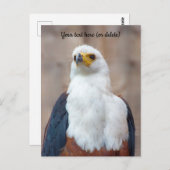 Afrikaanse Visarend Ansichtkaart Briefkaart (Voorkant / Achterkant)