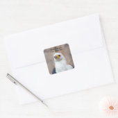 Afrikaanse Visarend Sticker (Envelop)
