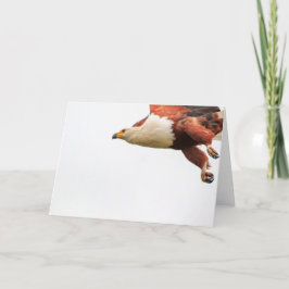 Afrikaanse Vissen Eagle tijdens de vlucht Feestdagen Kaart