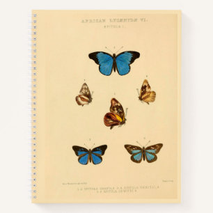 Afrikaanse vlinderbloemenzak notitieboek