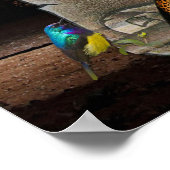 Afrikaanse vrouw en kind poster (Hoek)