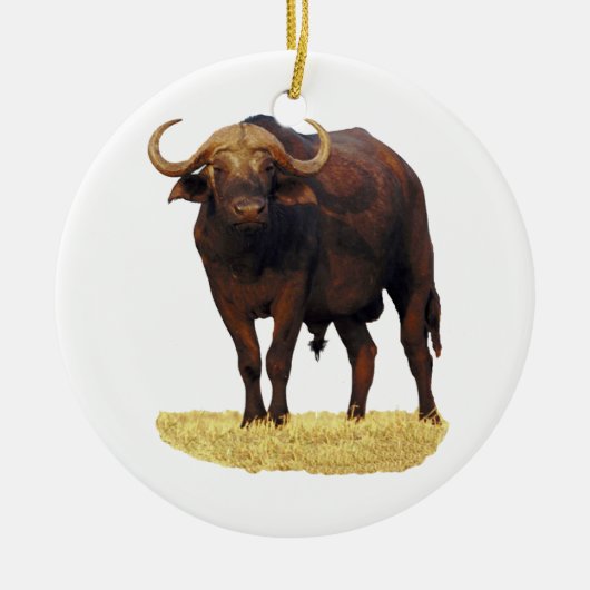 Afrikaanse waterbuffel keramisch ornament (Voorkant)