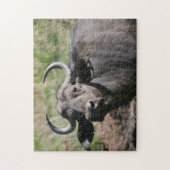 Afrikaanse waterbuffel legpuzzel (Verticaal)