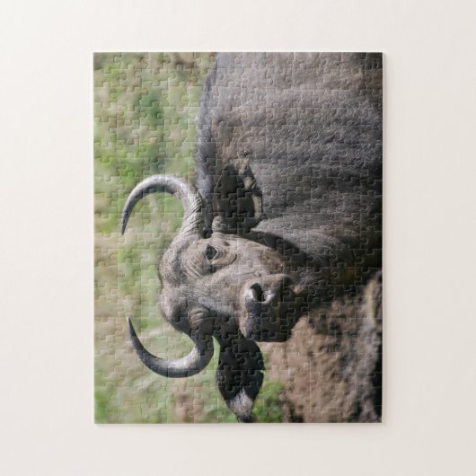 Afrikaanse waterbuffel legpuzzel (Verticaal)