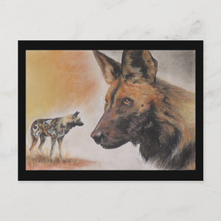 Afrikaanse Wild Dog Briefkaart