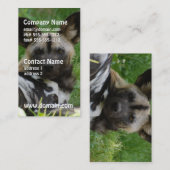 Afrikaanse Wild Dog Foto-Visitekaartjes Visitekaartje (Voorkant / Achterkant)