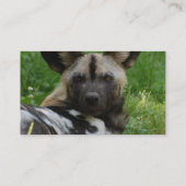 Afrikaanse Wild Dog Foto-Visitekaartjes Visitekaartje (Achterkant)