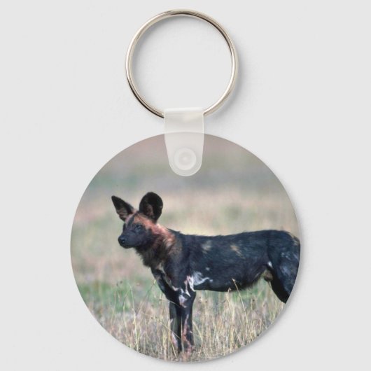 Afrikaanse Wild Dog Sleutelhanger (Voorkant)