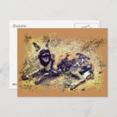 Afrikaanse Wild Dog toont haar tanden Briefkaart (Voorkant / Achterkant)