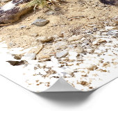 Afrikaanse Wild Dog toont haar tanden Poster (Hoek)